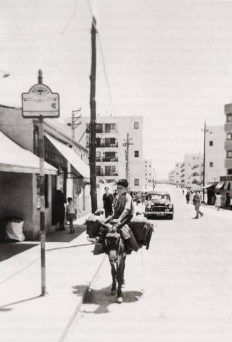 foto 33.jpg (20638 bytes)